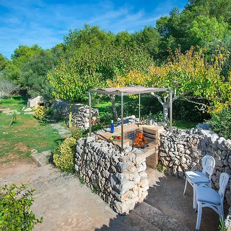 La Casa En El Pinar